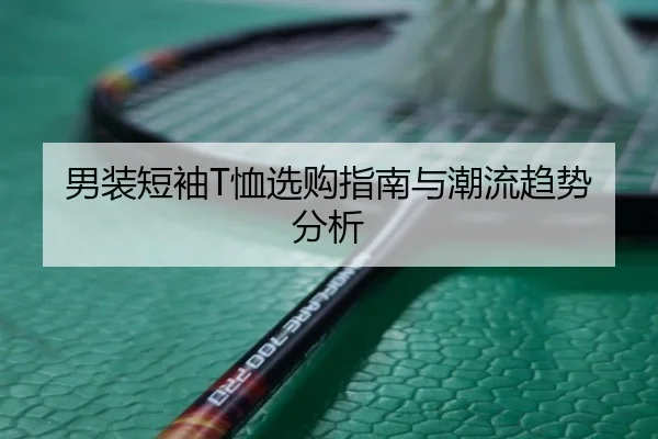 男装短袖T恤选购指南与潮流趋势分析