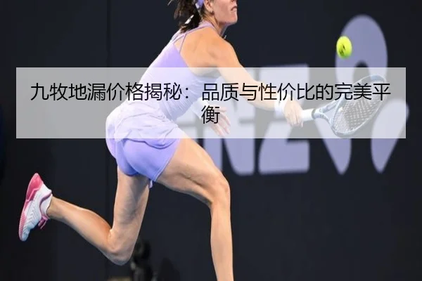九牧地漏价格揭秘：品质与性价比的完美平衡