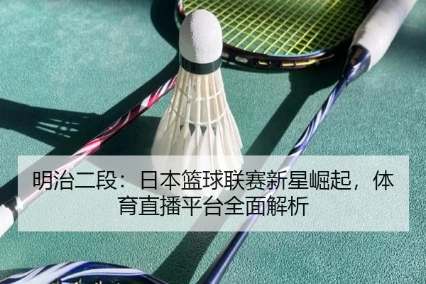 明治二段：日本篮球联赛新星崛起，体育直播平台全面解析